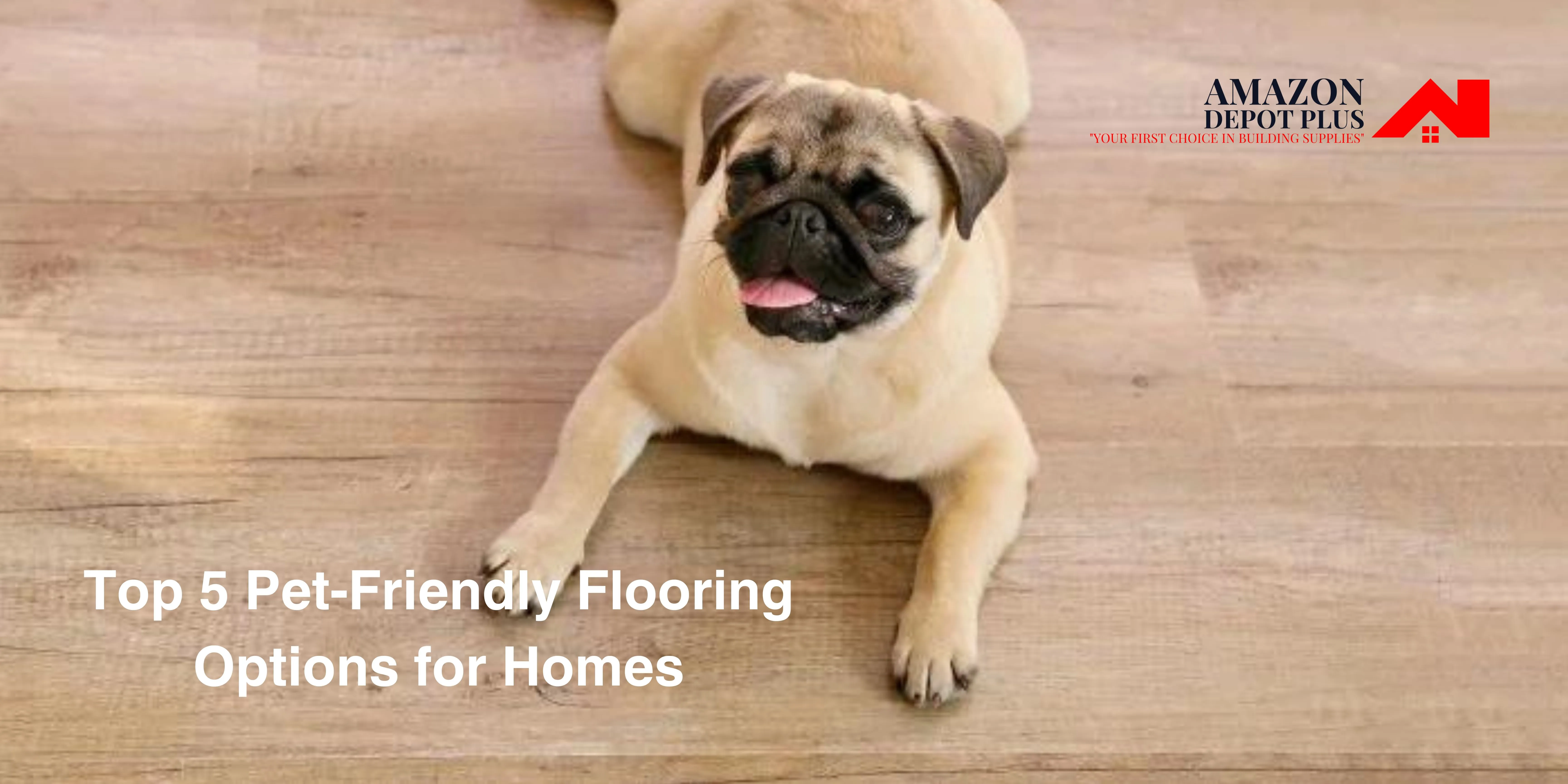 Top 5 Pet-Friendly Flooring Options for Homes